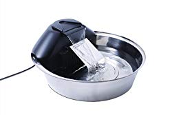 Best Dog Water Dispenser