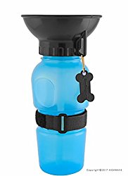 Best Dog Water Dispenser