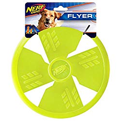 best dog frisbee uk