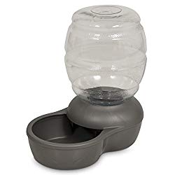 Best Dog Water Dispenser