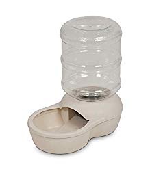 Best Dog Water Dispenser