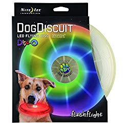 Best Dog Frisbee