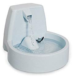 Best Dog Water Dispenser