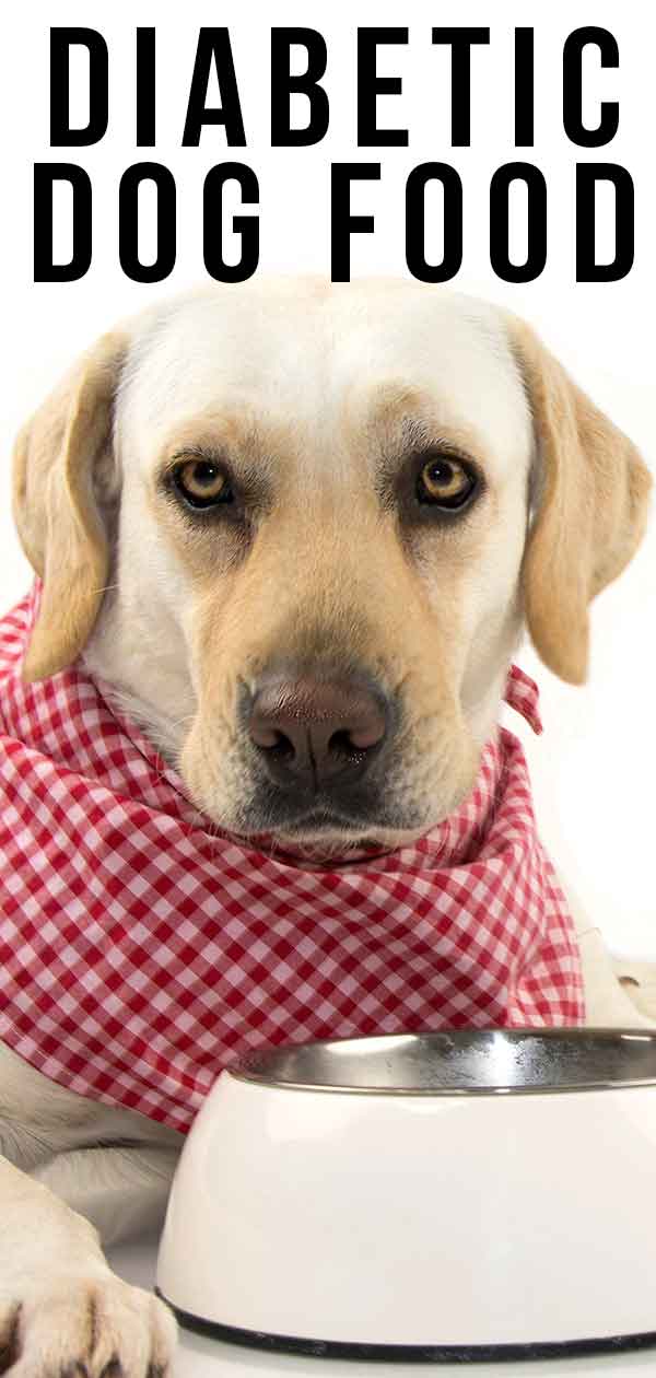 Diabetic Dog Food - Top Choices For Dogs With Diabetes