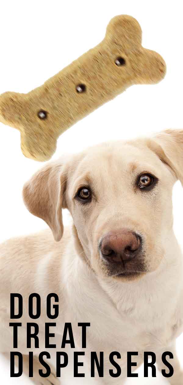 Dog treat dispenser – Top options for caring owners and their pets 