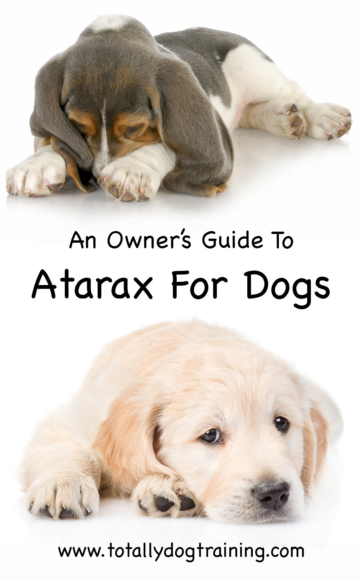 Atarax For Dogs