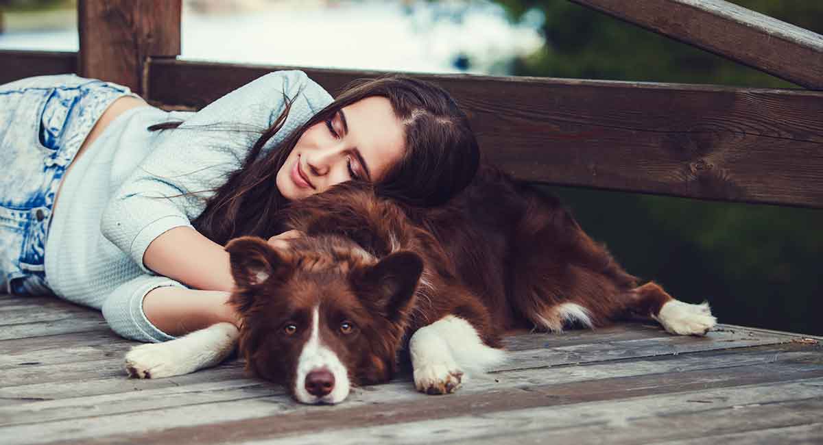 Why Are Dogs So Loyal Uncovering Their Amazing Devotion