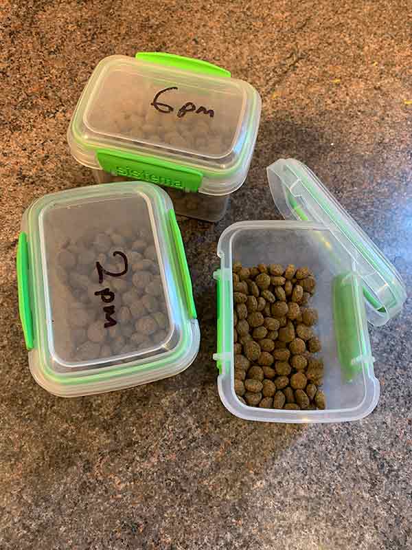 puppy food portions