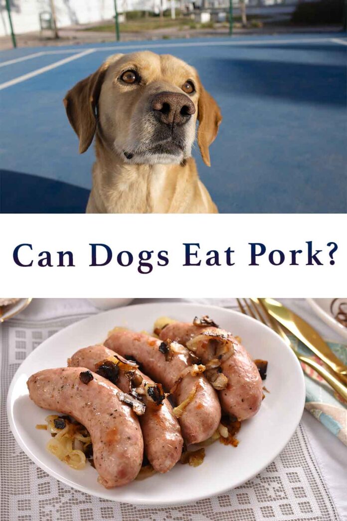Can Dogs Eat Pork? A Guide To Pork Bones, Ribs And Meat For Dogs