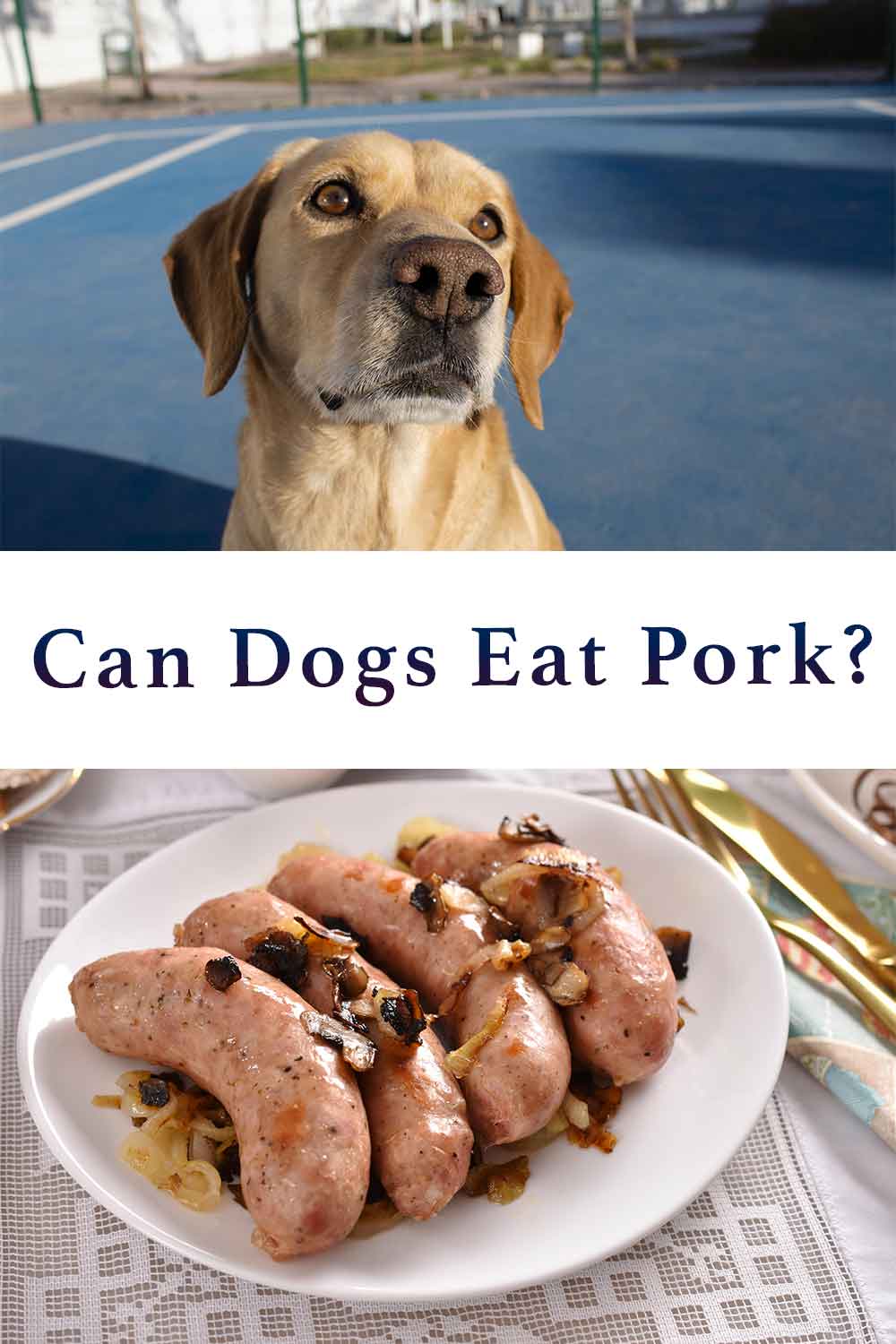 can dogs eat pork