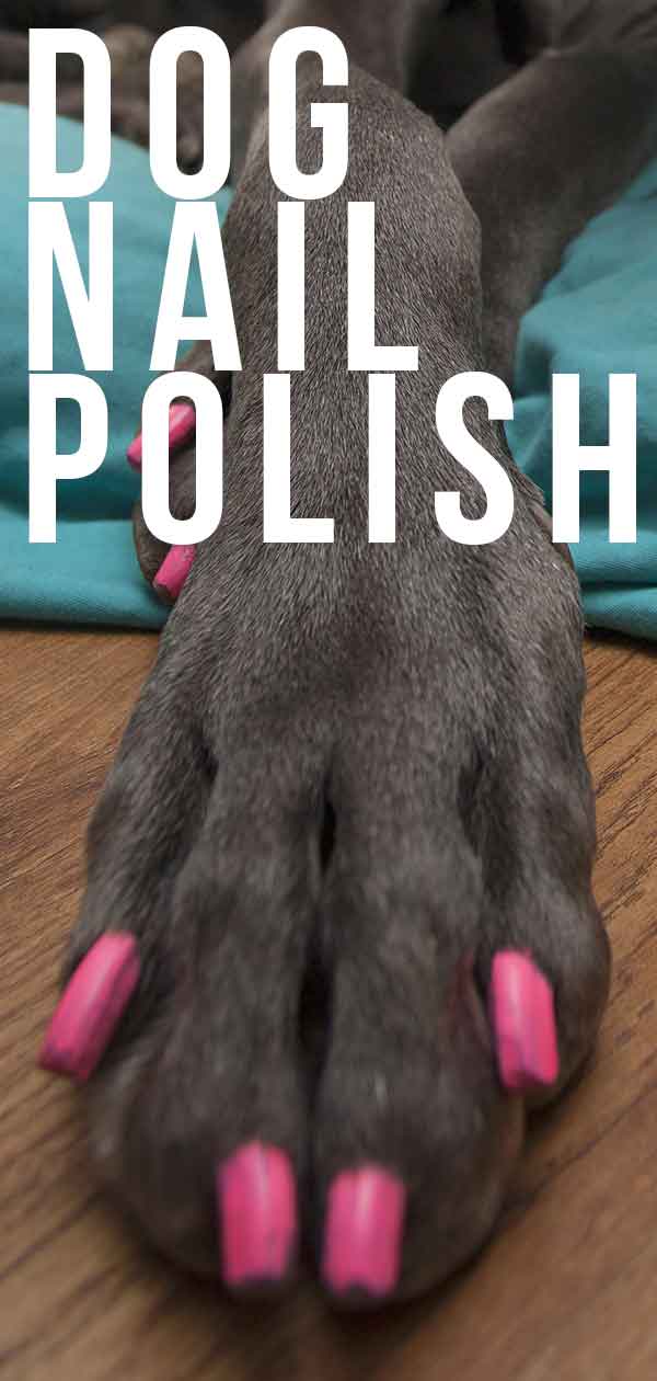 is la colors nail polish safe for dogs