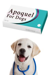 Apoquel For Dogs - Apoquel Uses, Side Effects And Dosage Explained