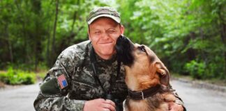 military dog names