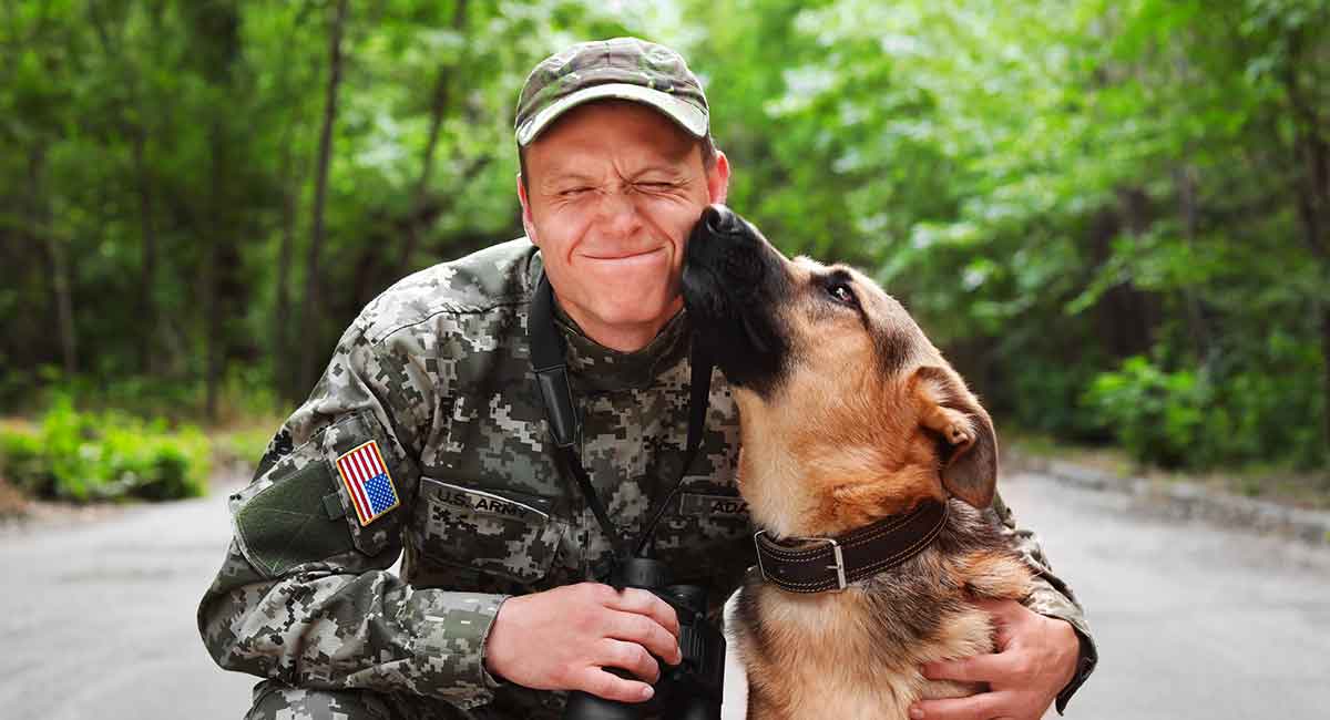 Military Dog Names: Over 400 Name Ideas Perfect For Your Dog!