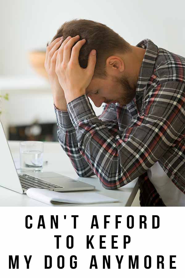 Can't Afford To Keep My Dog Anymore What You Should Do Next