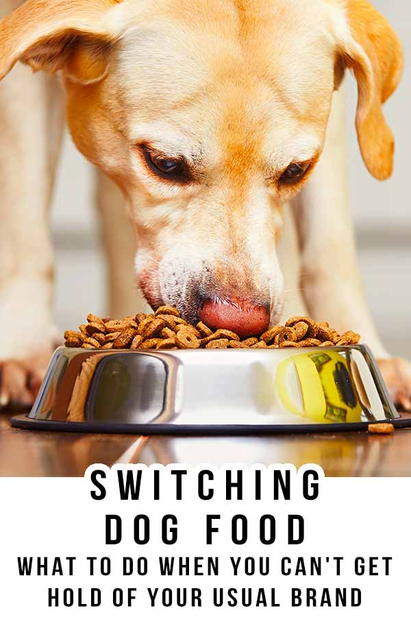 switching dog food