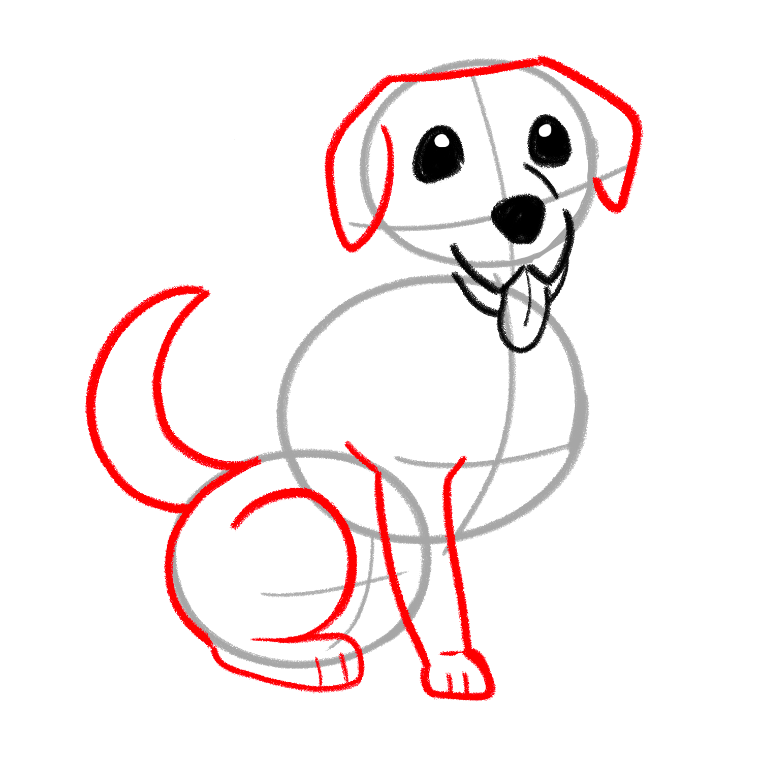 How to draw a Labrador stage 03