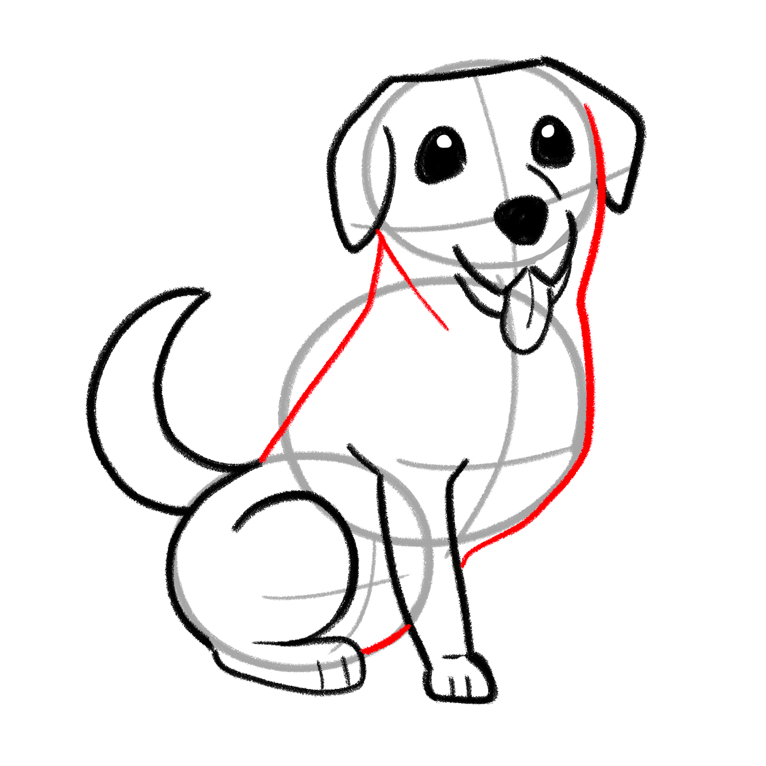 How to draw a Labrador step 04