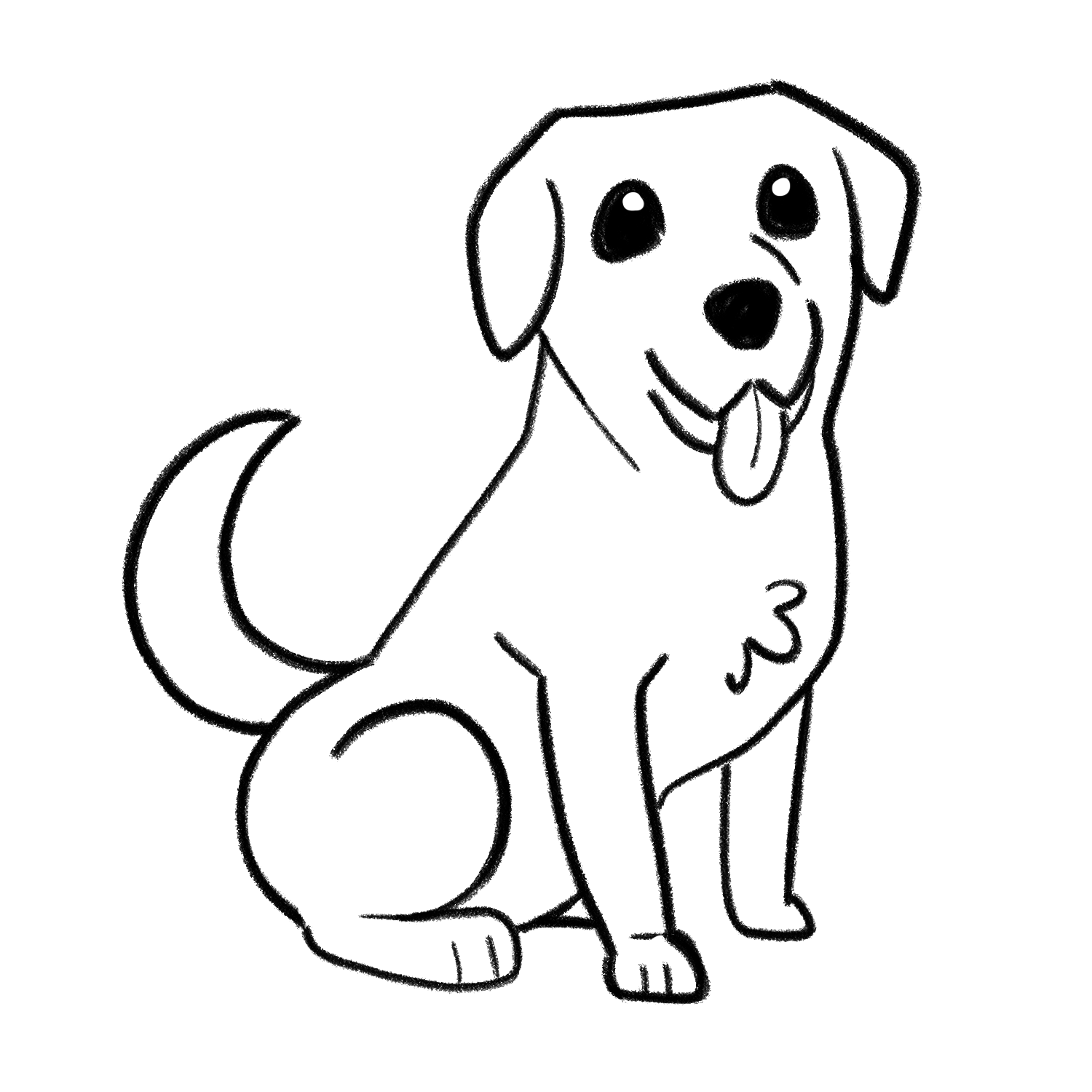 How to draw a Labrador step 06