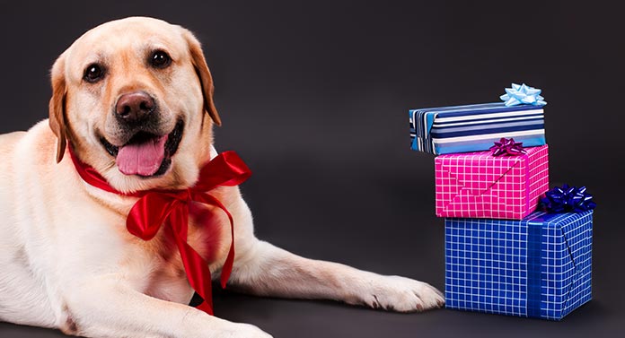 Tea Bag Holder Dish TidyCeramicBlack Labrador DogGreat Gift  Dog Lovers 