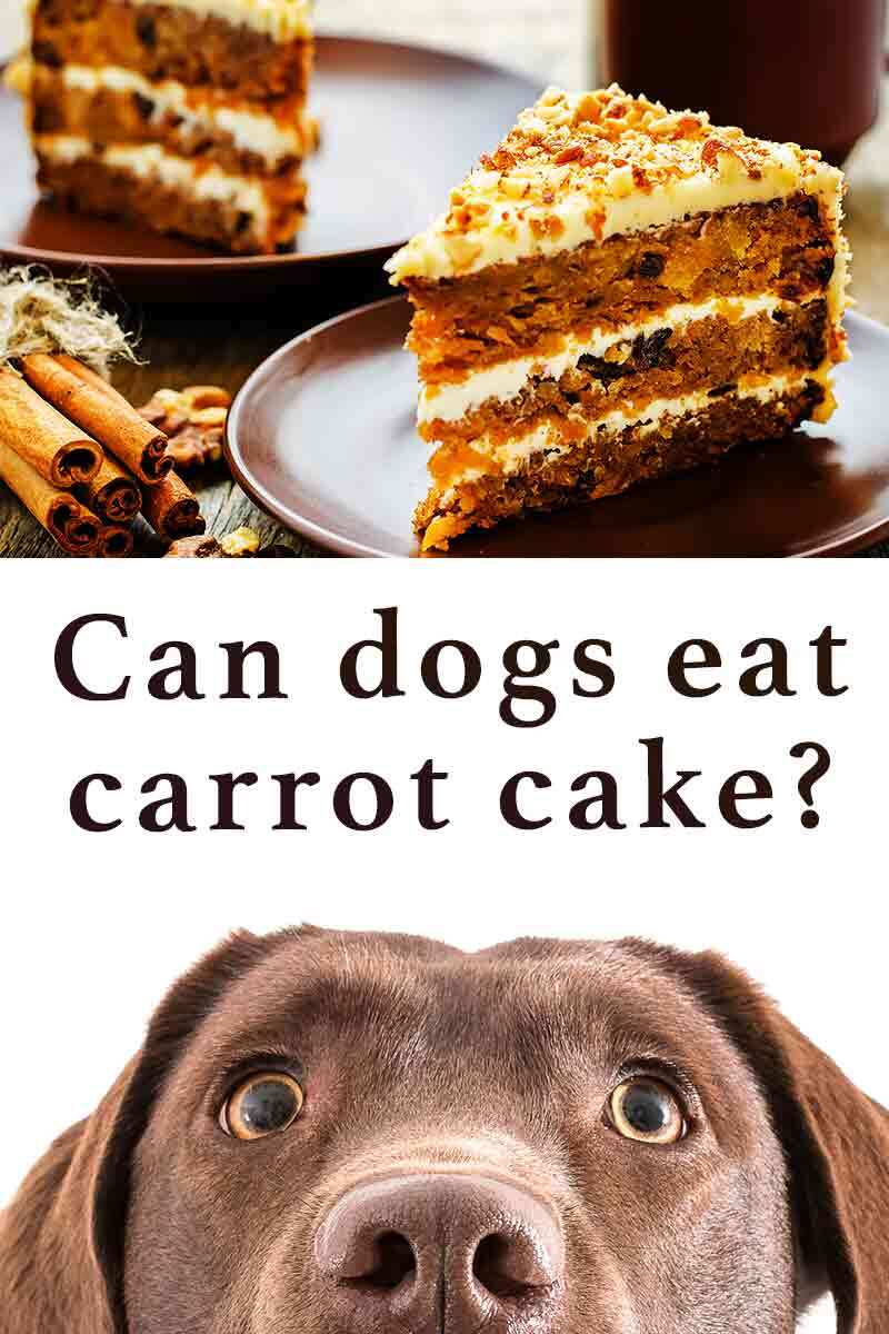 can dogs eat carrot cake?