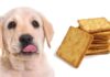 can dogs eat graham crackers