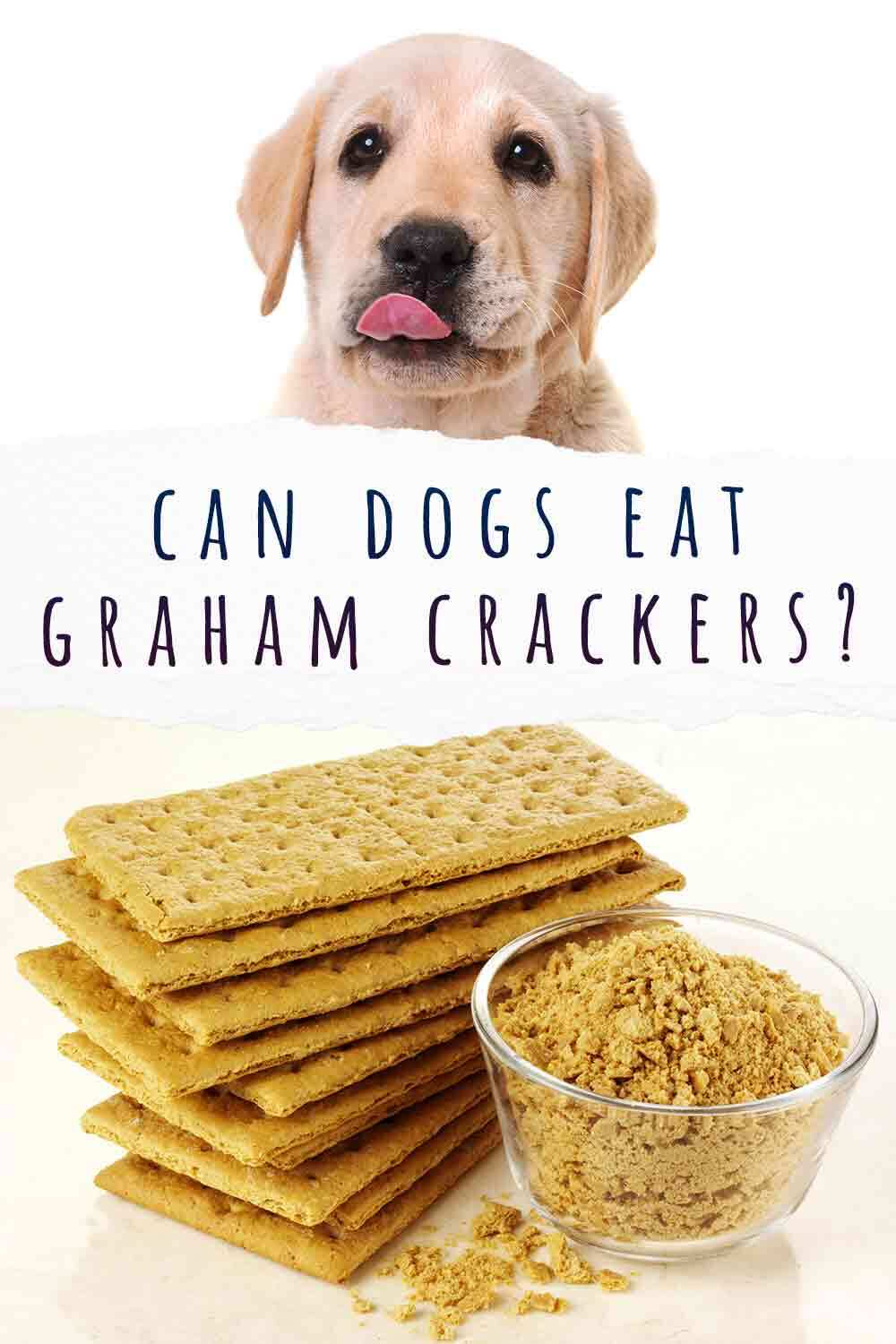 can dogs eat graham crackers