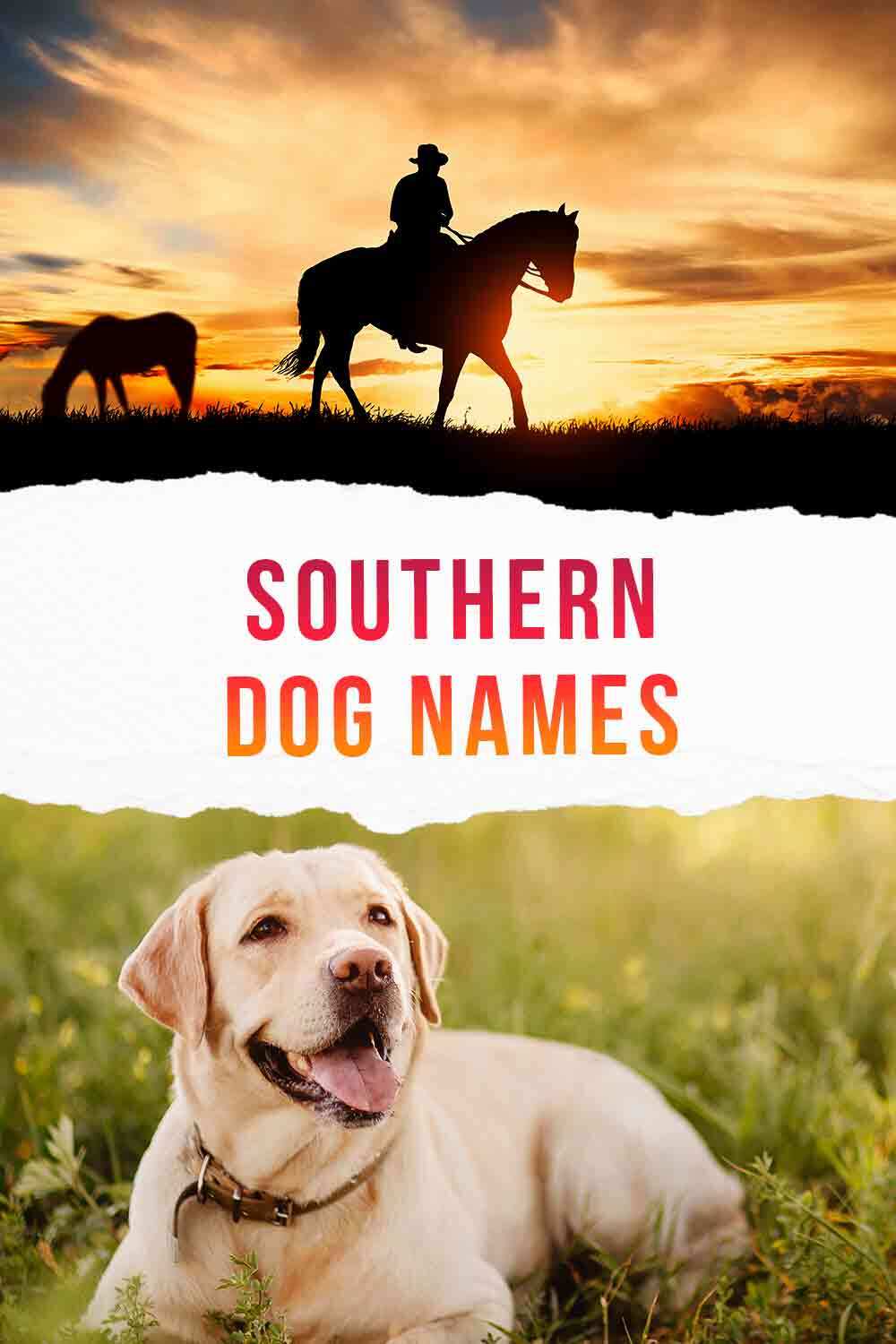 southern dog names