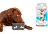 can dogs drink almond milk