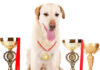 download champion bloodline dog