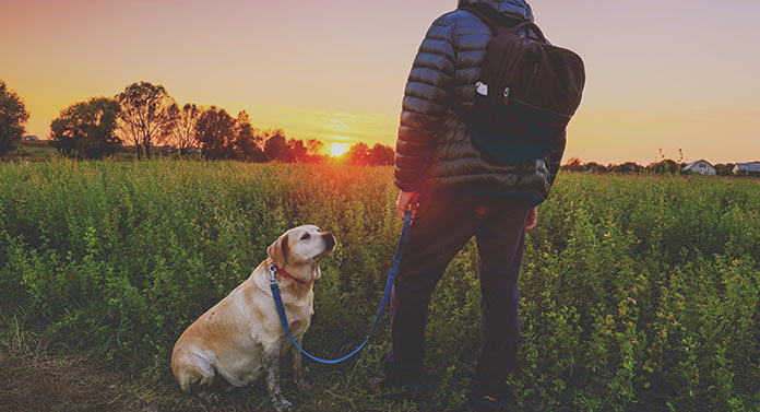 can a dog warden enter your property