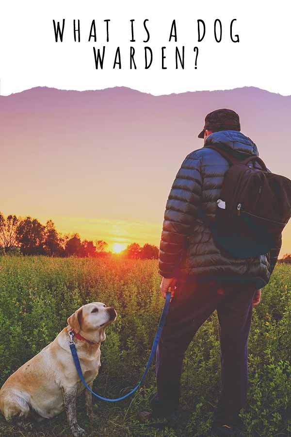 qu'est-ce qu'un gardien de chien