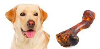 smoked bones for dogs