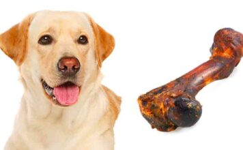 smoked bones for dogs