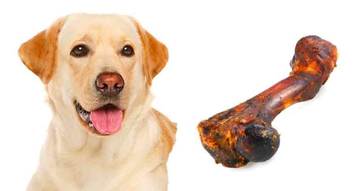 smoked bones for dogs