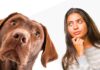 pros and cons of neutering a labrador