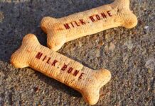 are milk bones bad for dogs