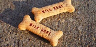 are milk bones bad for dogs