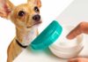 can you use aquaphor on dogs