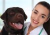 what does glucosamine do for dogs