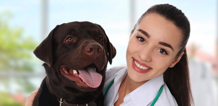 what does glucosamine do for dogs