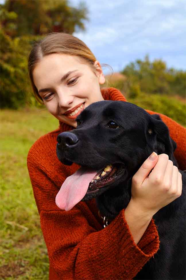 where do labs like to be pet