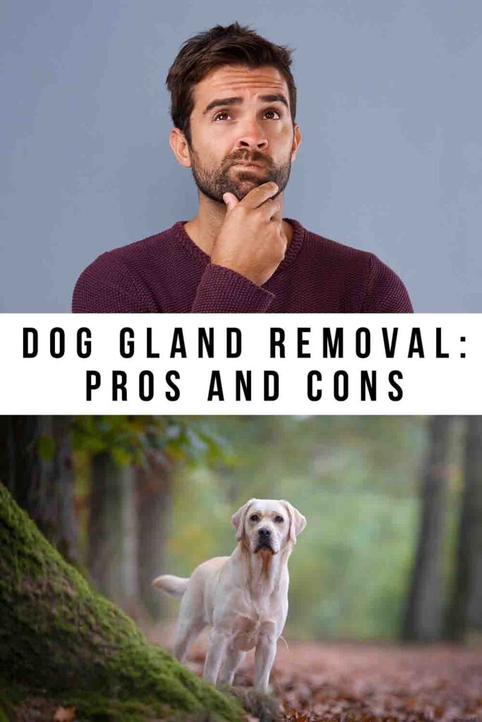 dog gland removal pros and cons