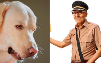 Why Do Dogs Hate Mailmen_ LS Long