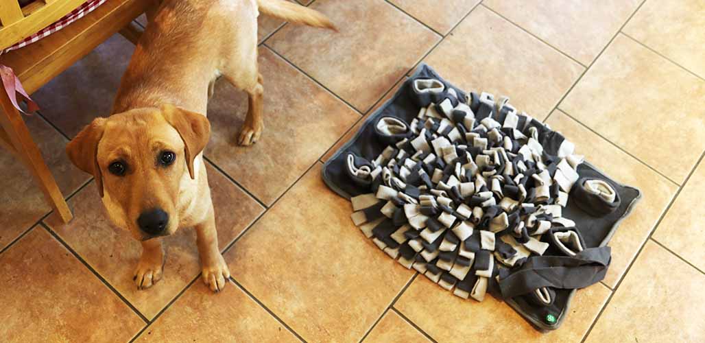 Dog Digging Toys Snuffle Mat for Large Dogs, Dog Treat Puzzle Feeding Toys