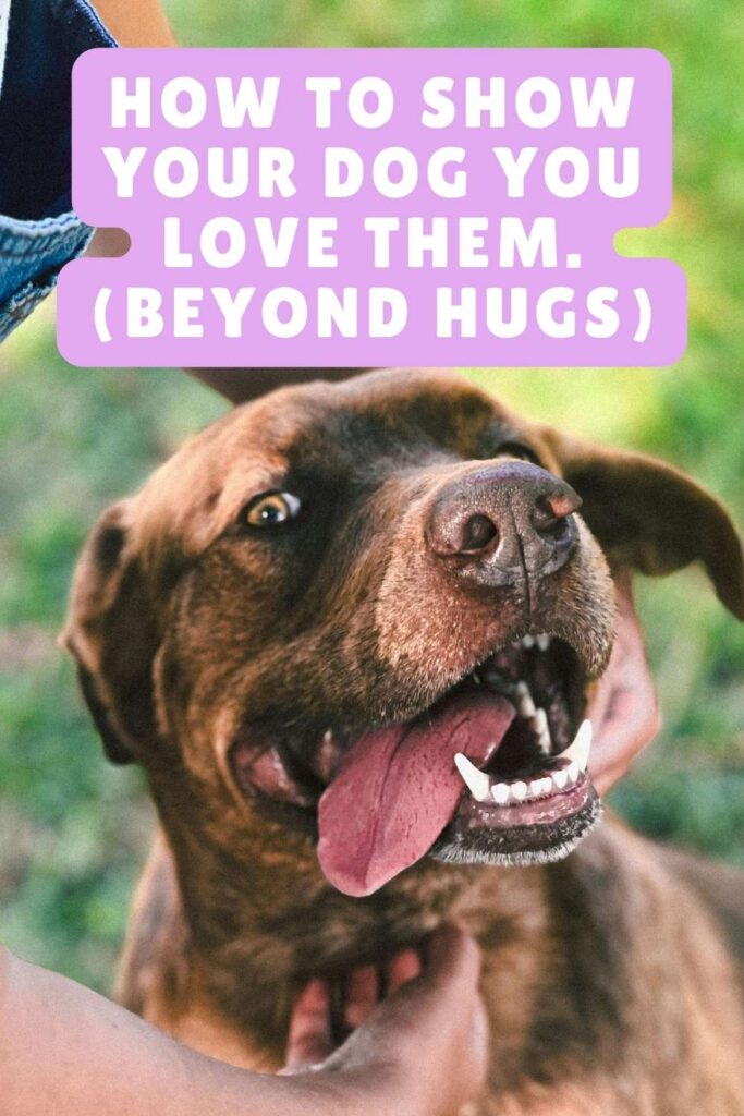 Photo of a dog with tongue out and text overlay that reads: How To Show Your Dog You Love Them