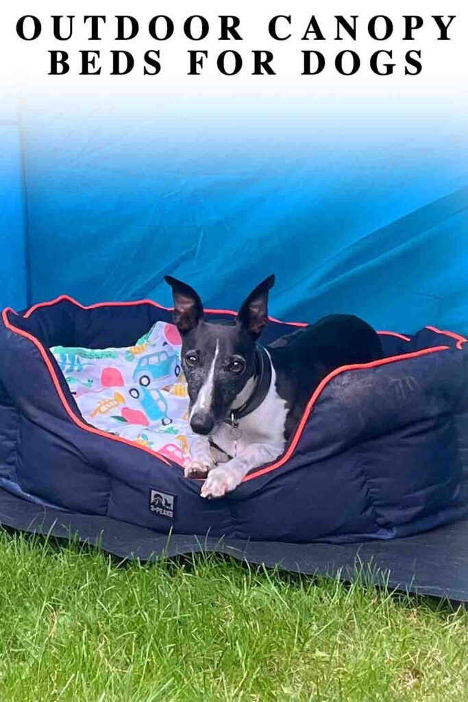 outdoor canopy bed for dogs