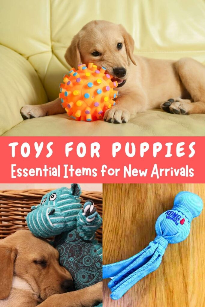What Color Toys are Best for Dogs: Ultimate Guide to Boost Playtime