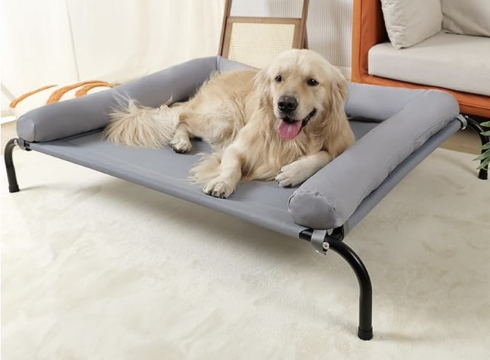 Unchewable Dog Beds 8 Indestructible Options, And