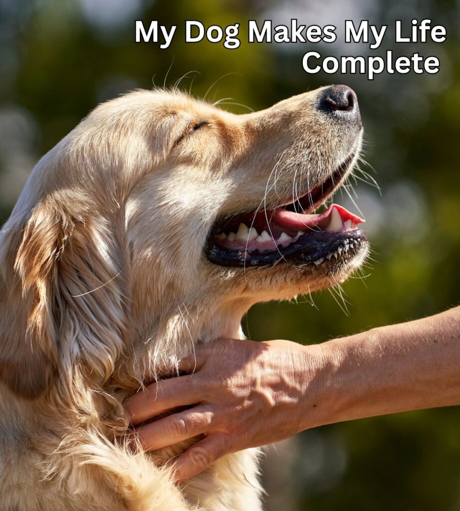 dog completes life